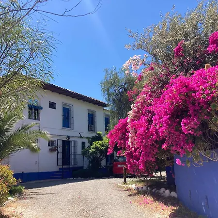 Bohemian Malaga Villa Alora