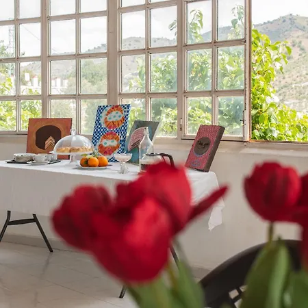 Bohemian Malaga Villa Alora